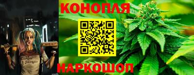 тгк Заволжье