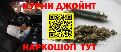 сатива Заводоуковск