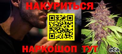 сатива Заводоуковск