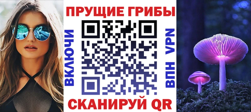 где купить наркоту  Гулькевичи  Псилоцибиновые грибы Psilocybe 