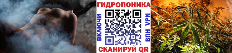 Шишки марихуана ГИДРОПОН  сколько стоит  Гулькевичи 